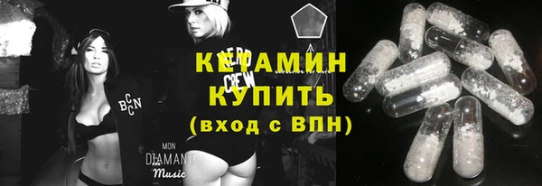 трава Гусиноозёрск