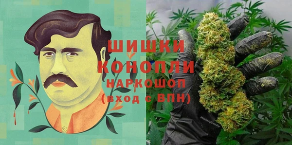 PSILOCYBIN Алексеевка